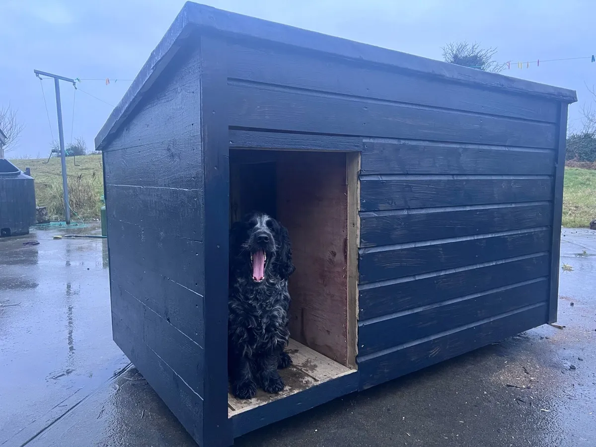 Insulated dog houses - Image 1