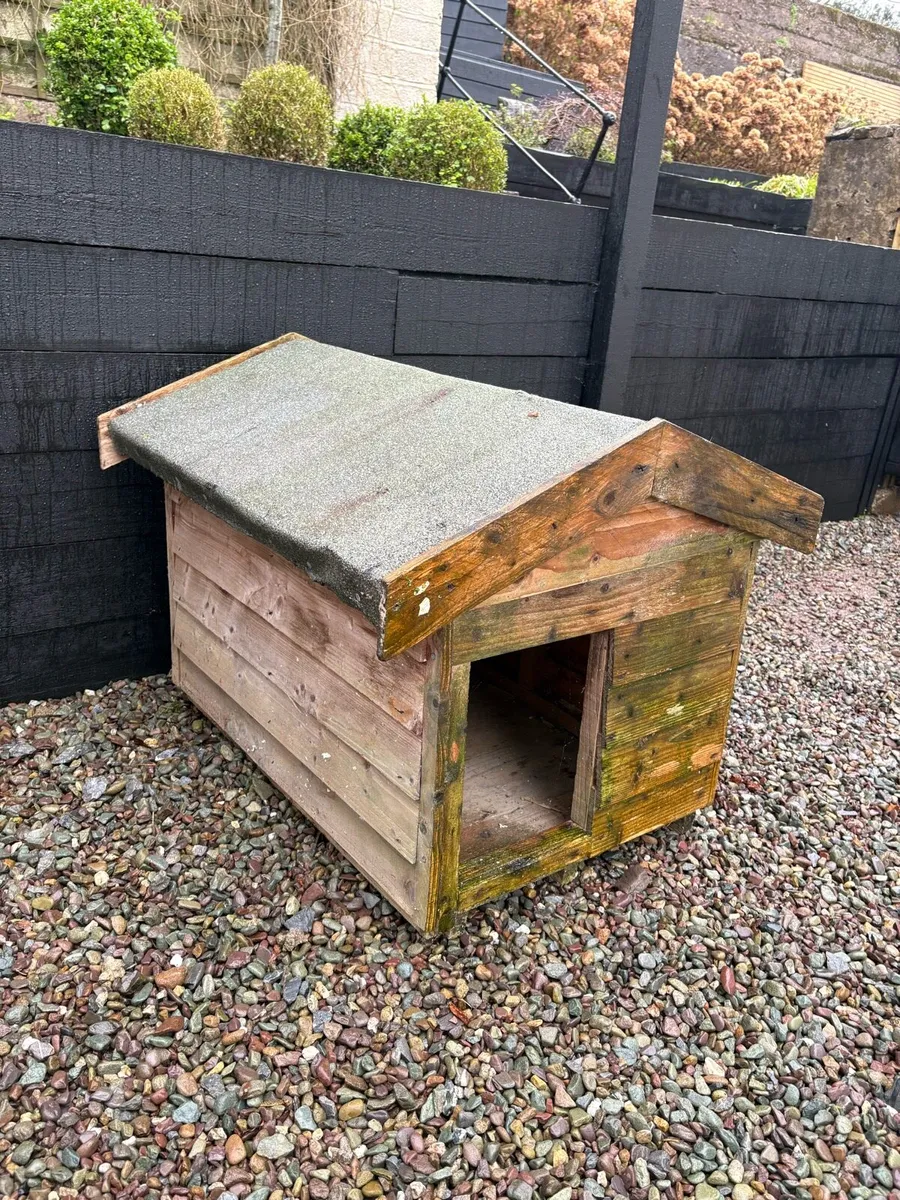 Dog house - Image 2