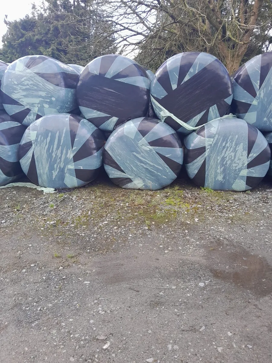 Silage Bales - Image 1
