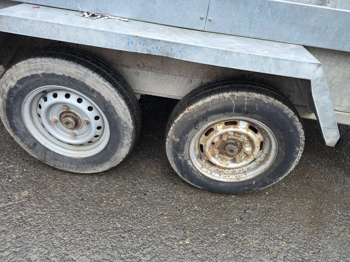 Indespension Challenger Plant Trailer - Image 4