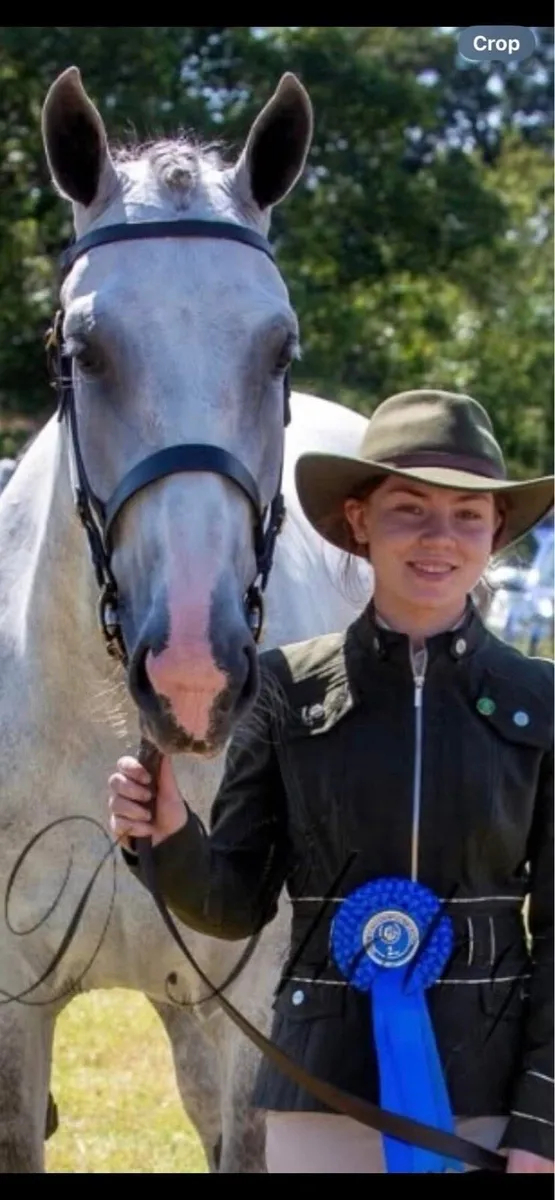 Lot 105 ⭐️Full Draught with super Bone 👌 - Image 1