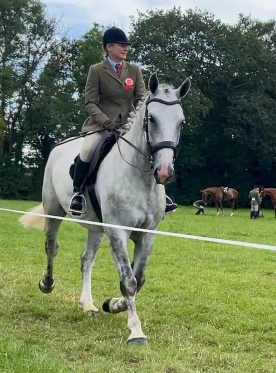 Lot 105 ⭐️Full Draught with super Bone 👌 - Image 2