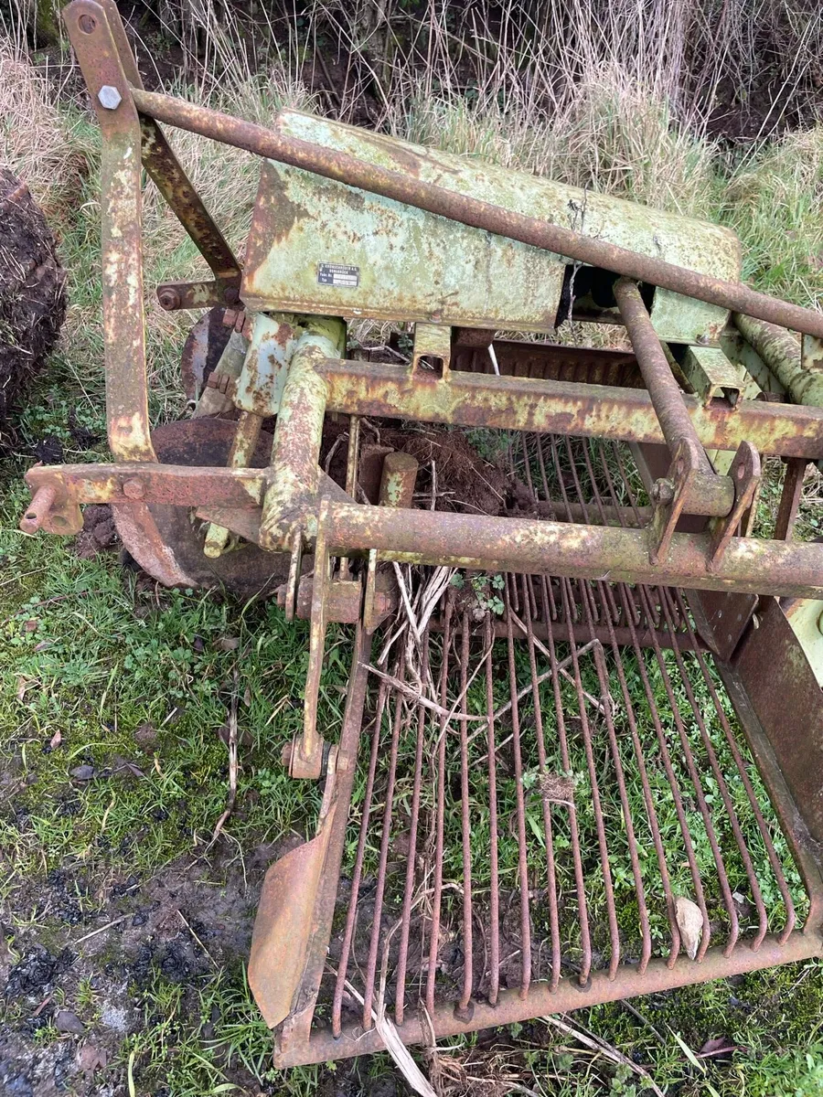 Potato digger - Image 1