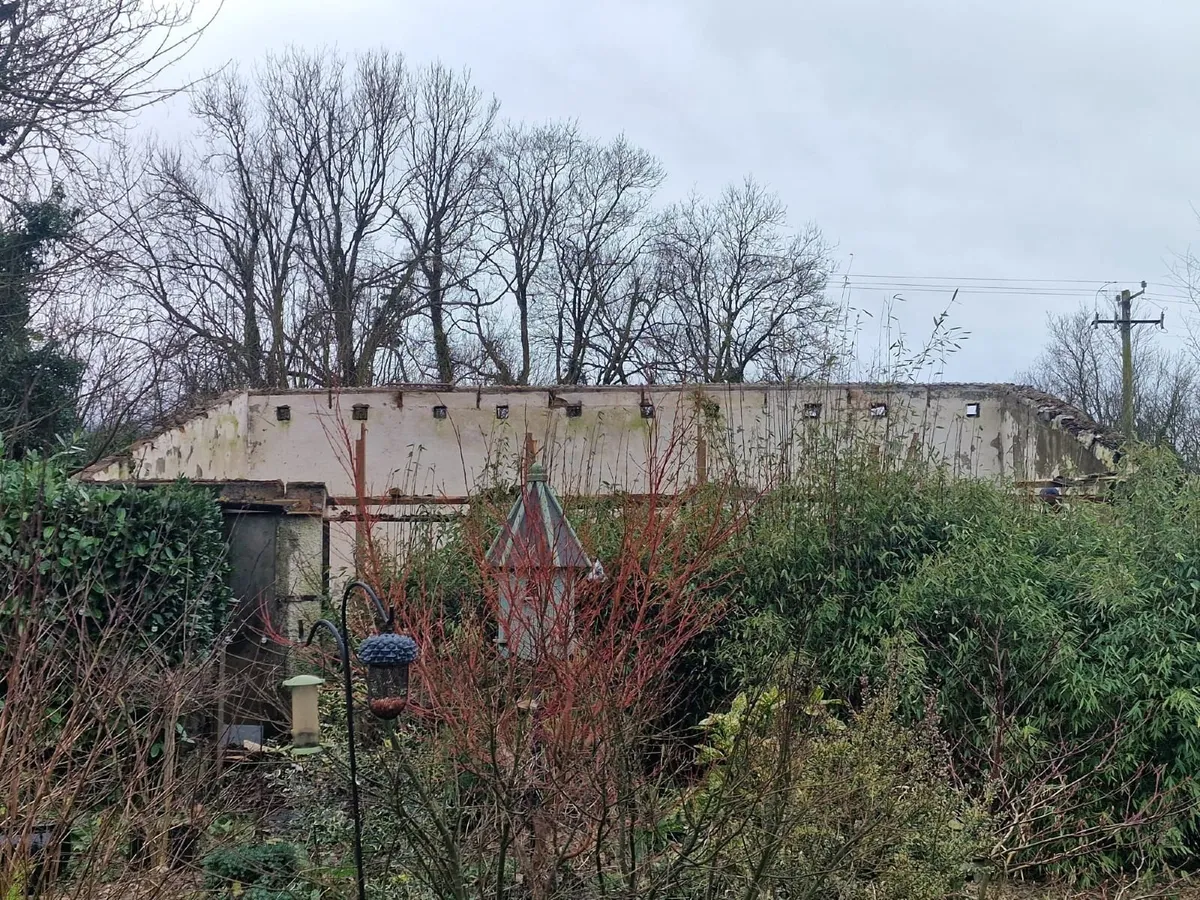 Munster Farm Shed Repairs - Image 2