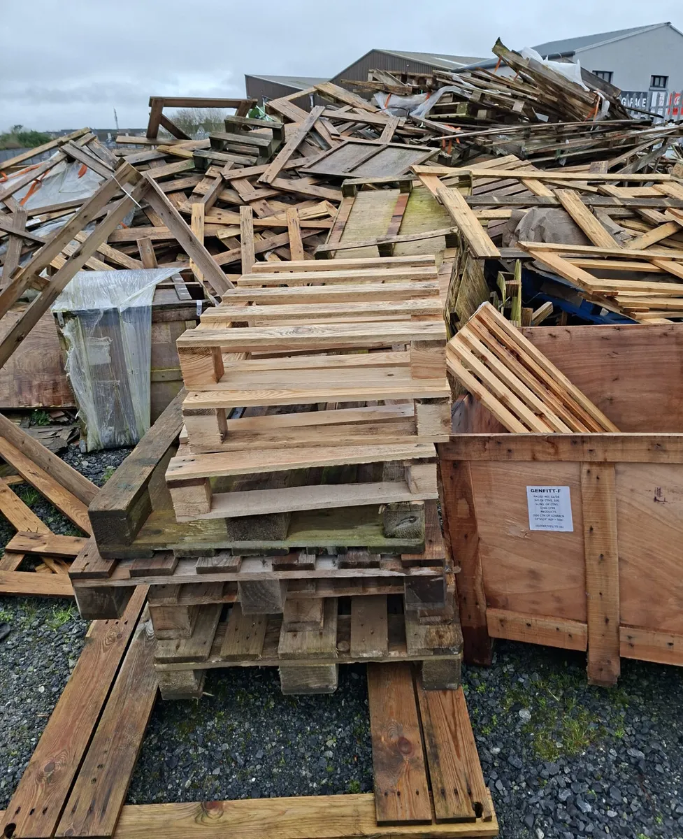 DRY TIMBER PALLETS - Image 3