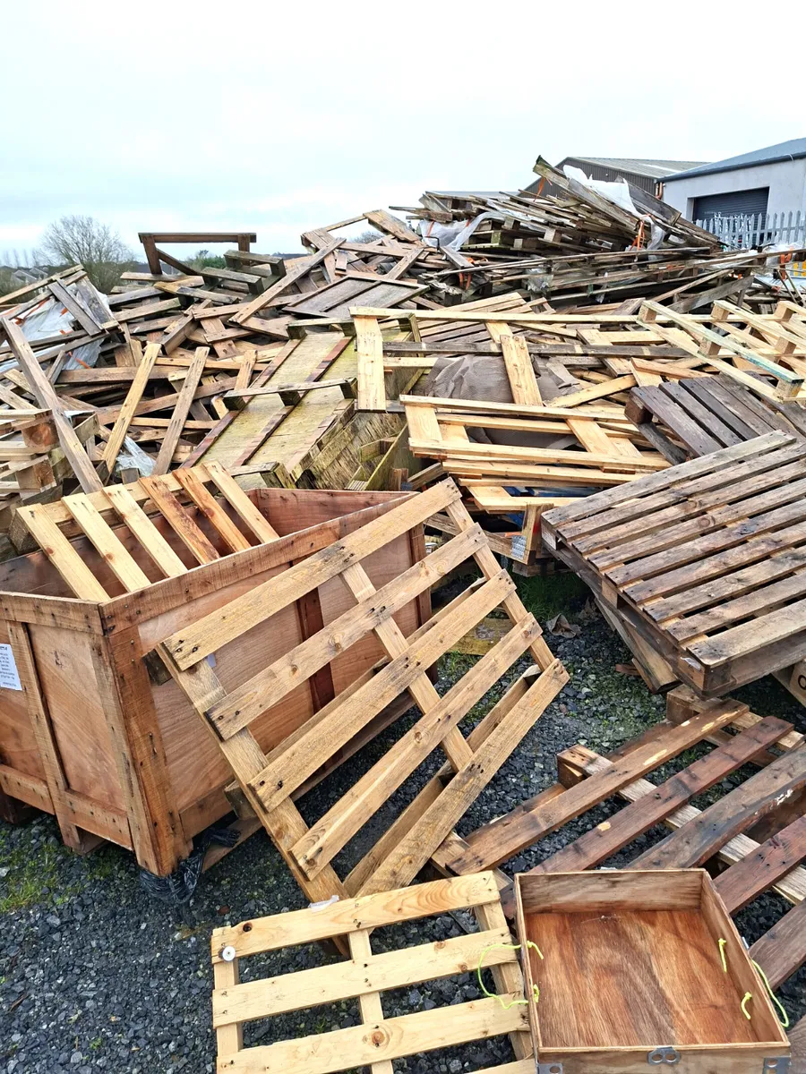 DRY TIMBER PALLETS - Image 1