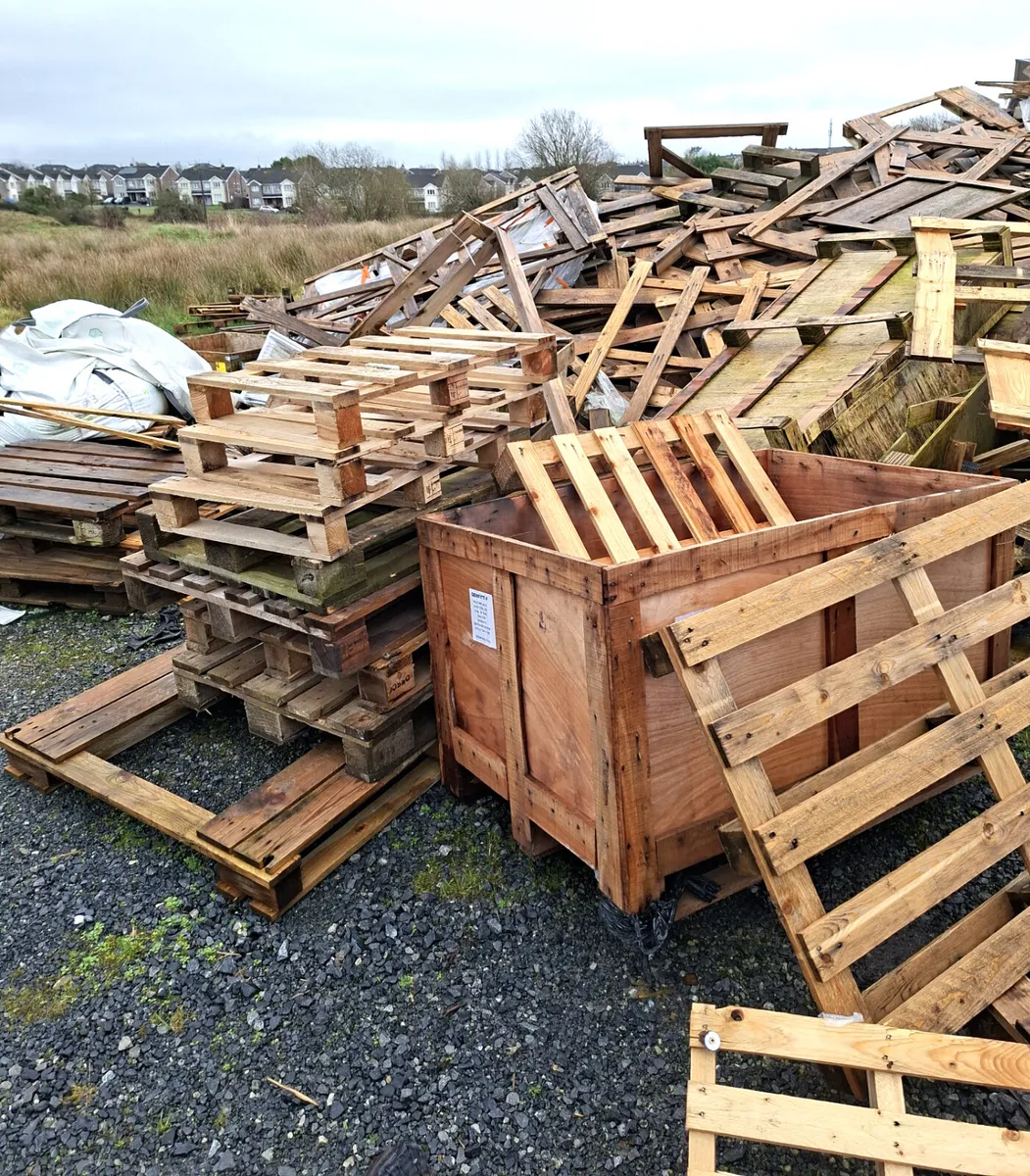DRY TIMBER PALLETS - Image 2