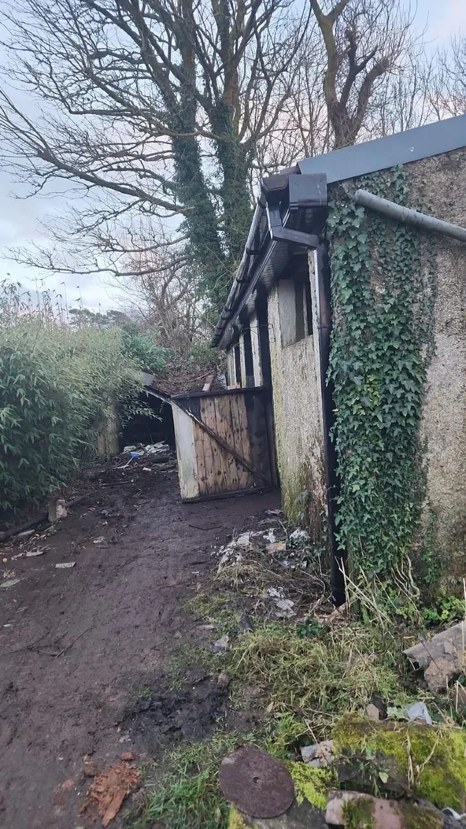 Munster Farm Shed Repairs & Painting - Image 3