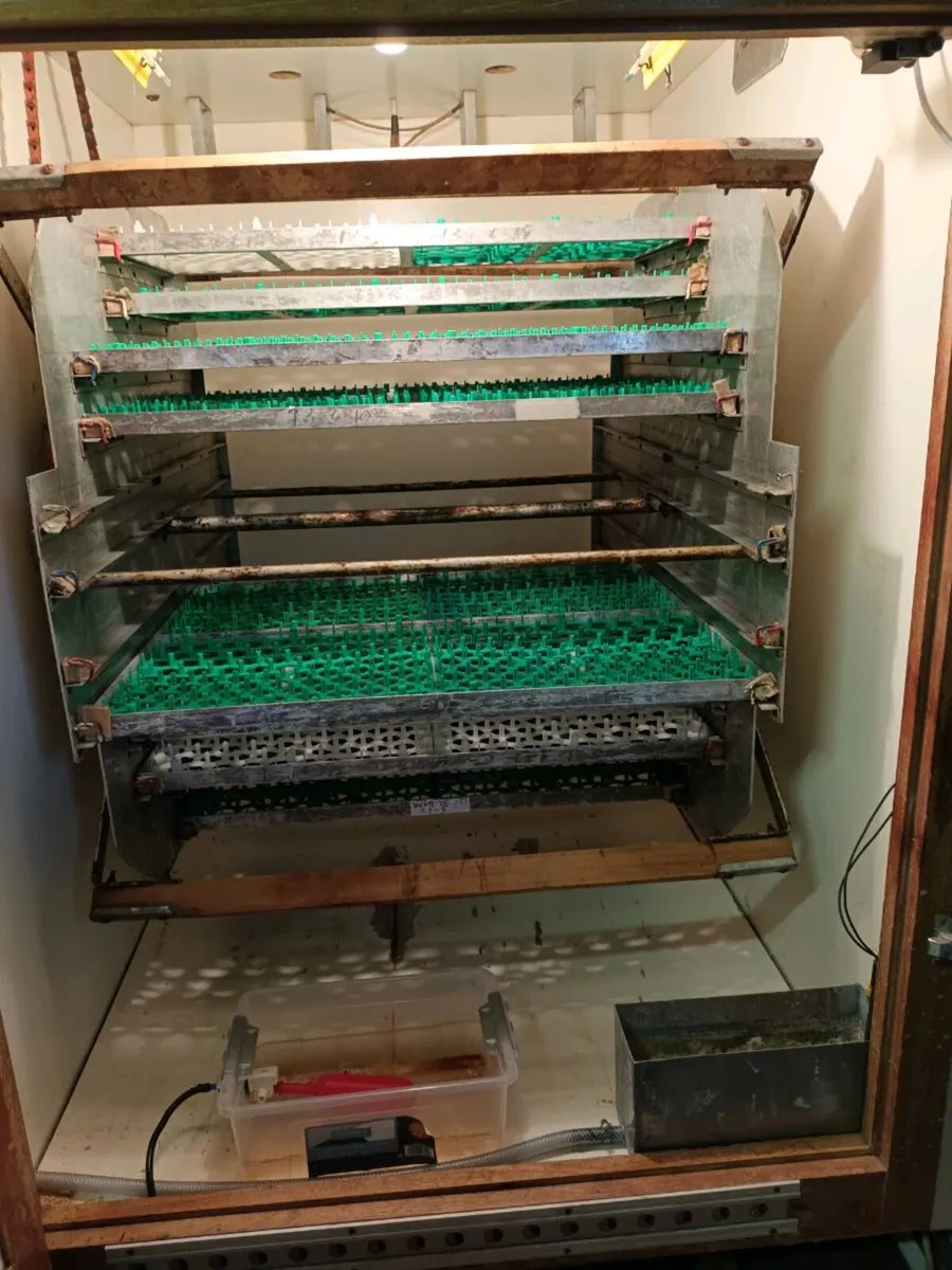 Marcon Incubator and Hatcher - Image 4