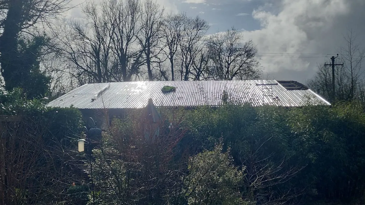 Munster Farm Shed Repairs - Image 2