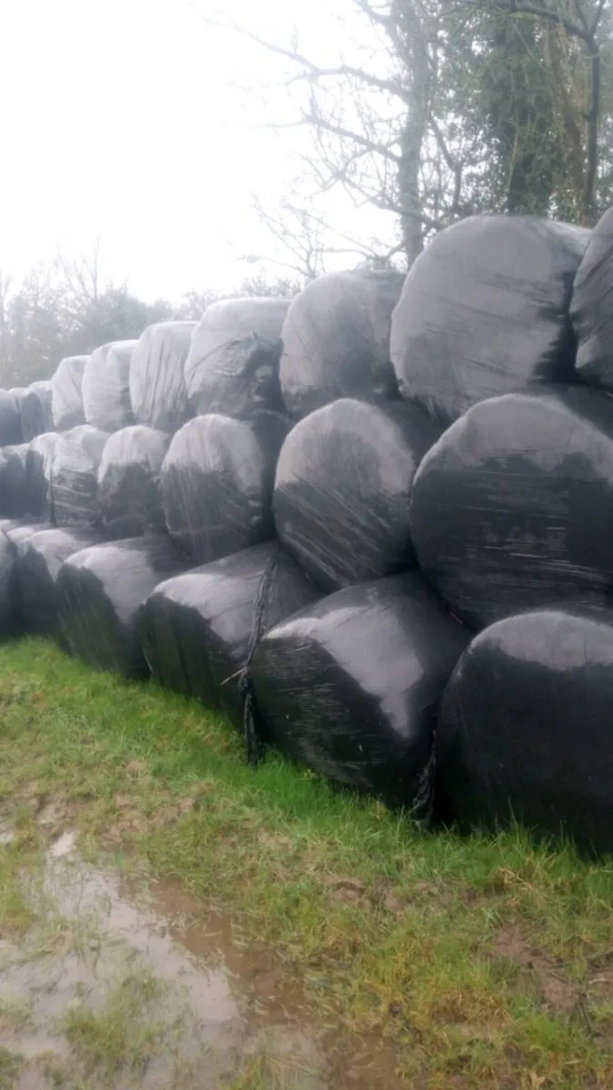 Silage