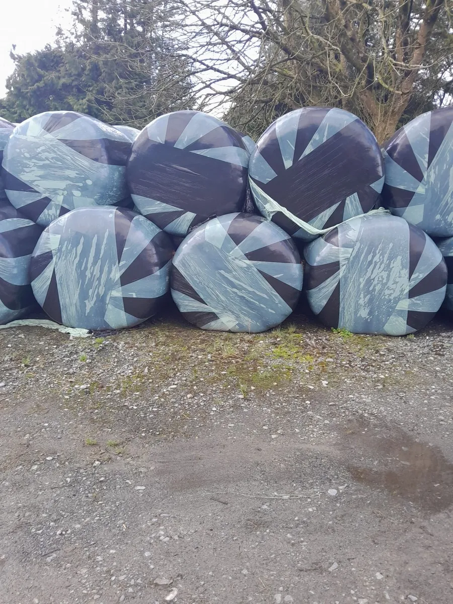 Silage Bales - Image 2