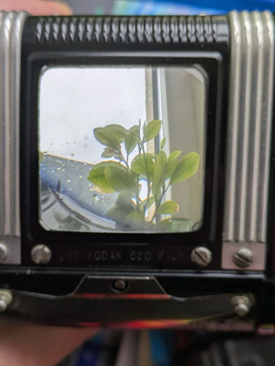 Kodak Duaflex 6x6 film camera - Image 4