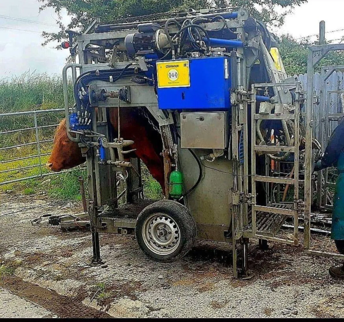 Hooftrimming - Image 1