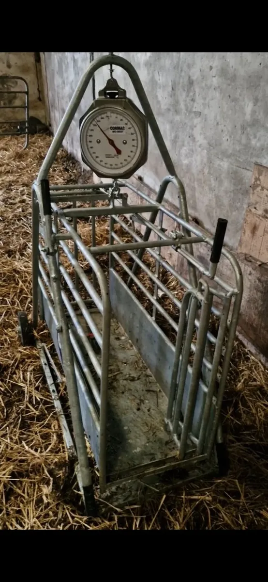 Lamb weighing scales / quad fertiliser shaker - Image 4