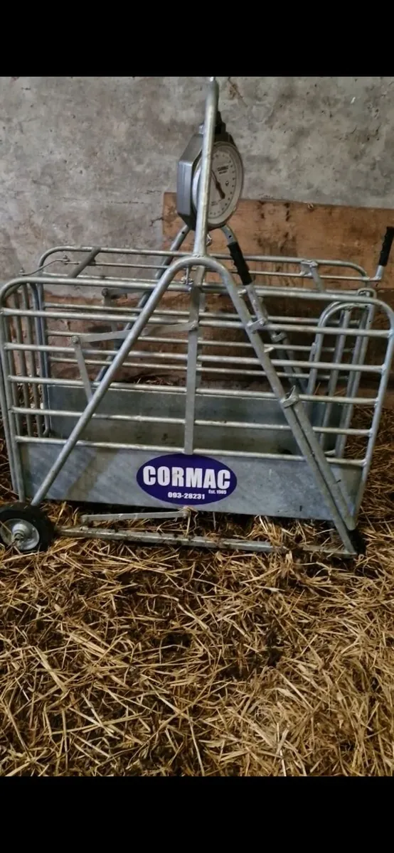 Lamb weighing scales / quad fertiliser shaker - Image 1