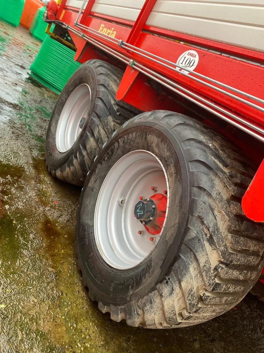 Enria Zero Grazer - Image 3