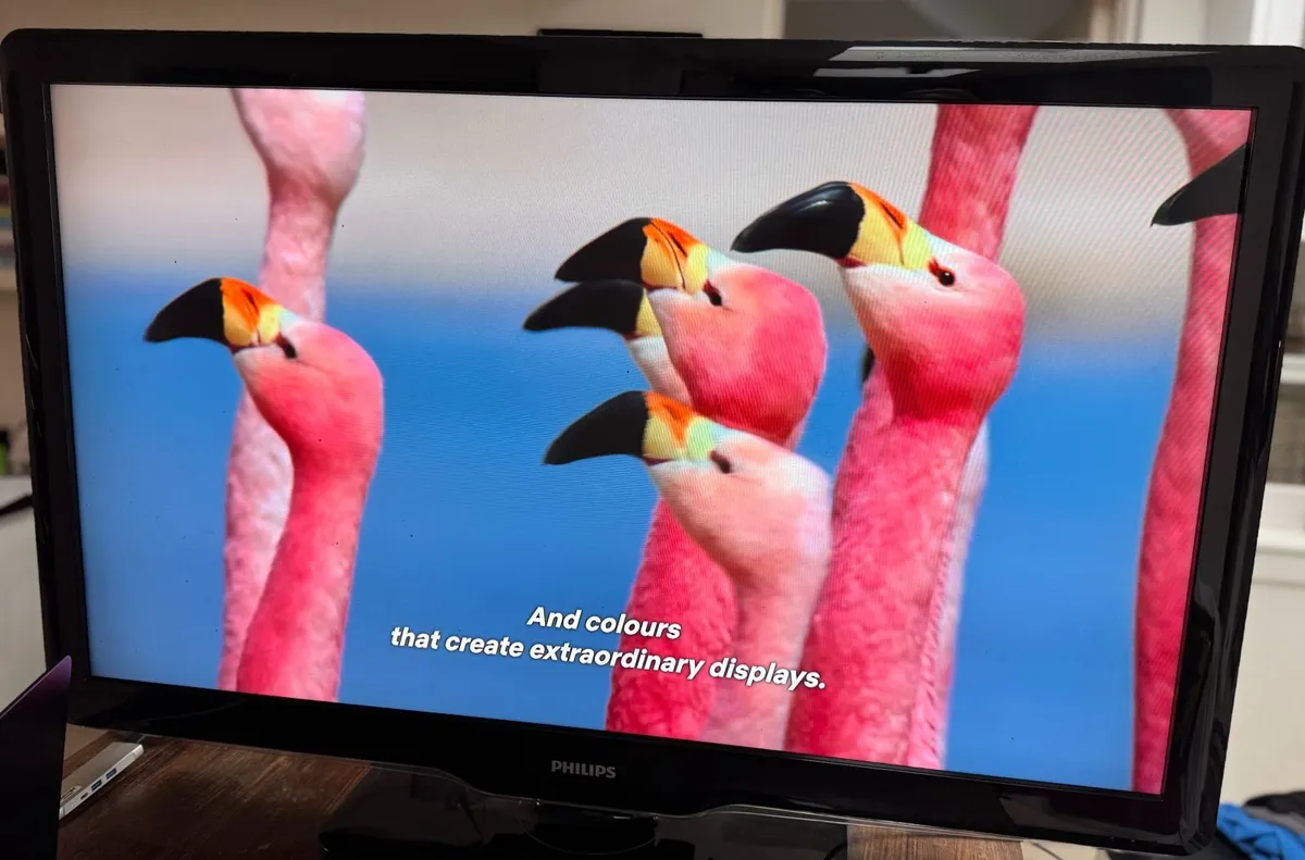 Philips 42" LCD TV – Full HD – Perfect Condition - Image 2