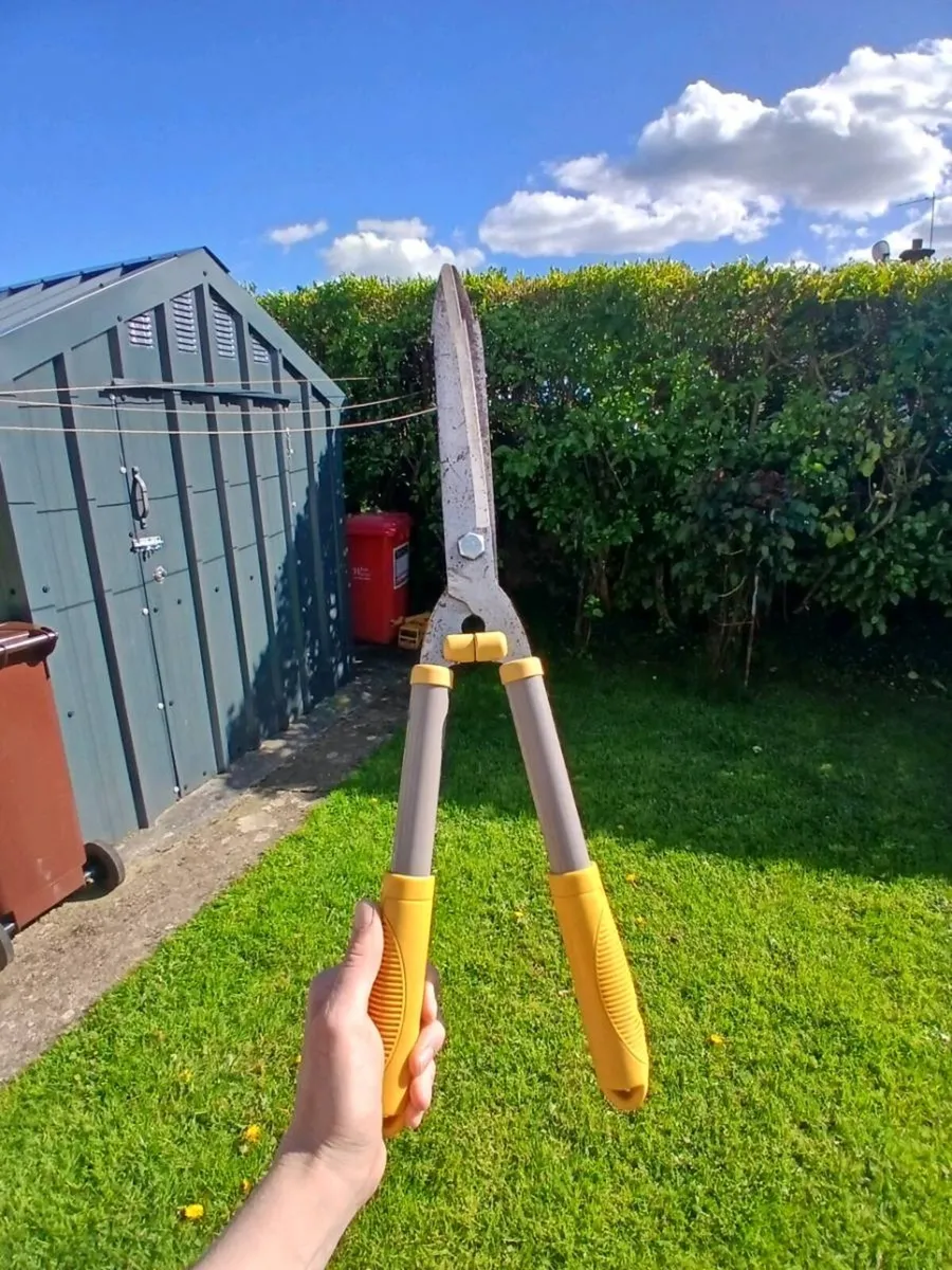 Garden Equipment - Shears & Rake for sale in Co. Cork for €25 on DoneDeal