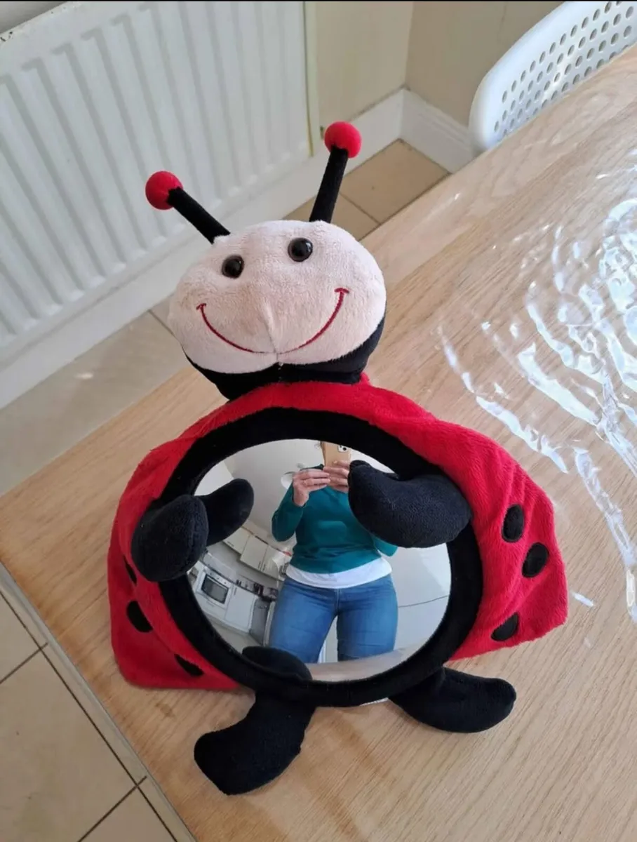 Ladybug Car Mirror - Image 1