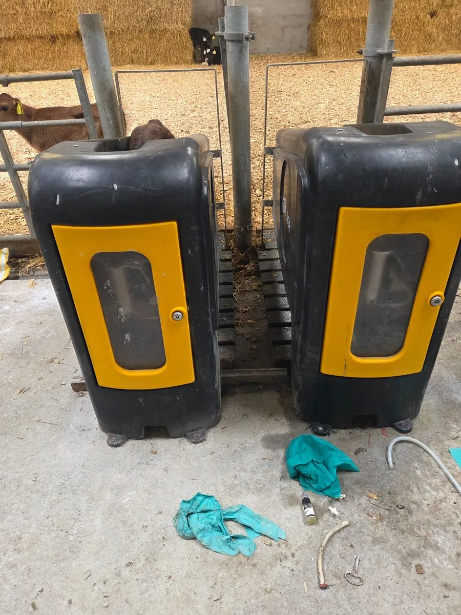 Calf feeder - Image 4