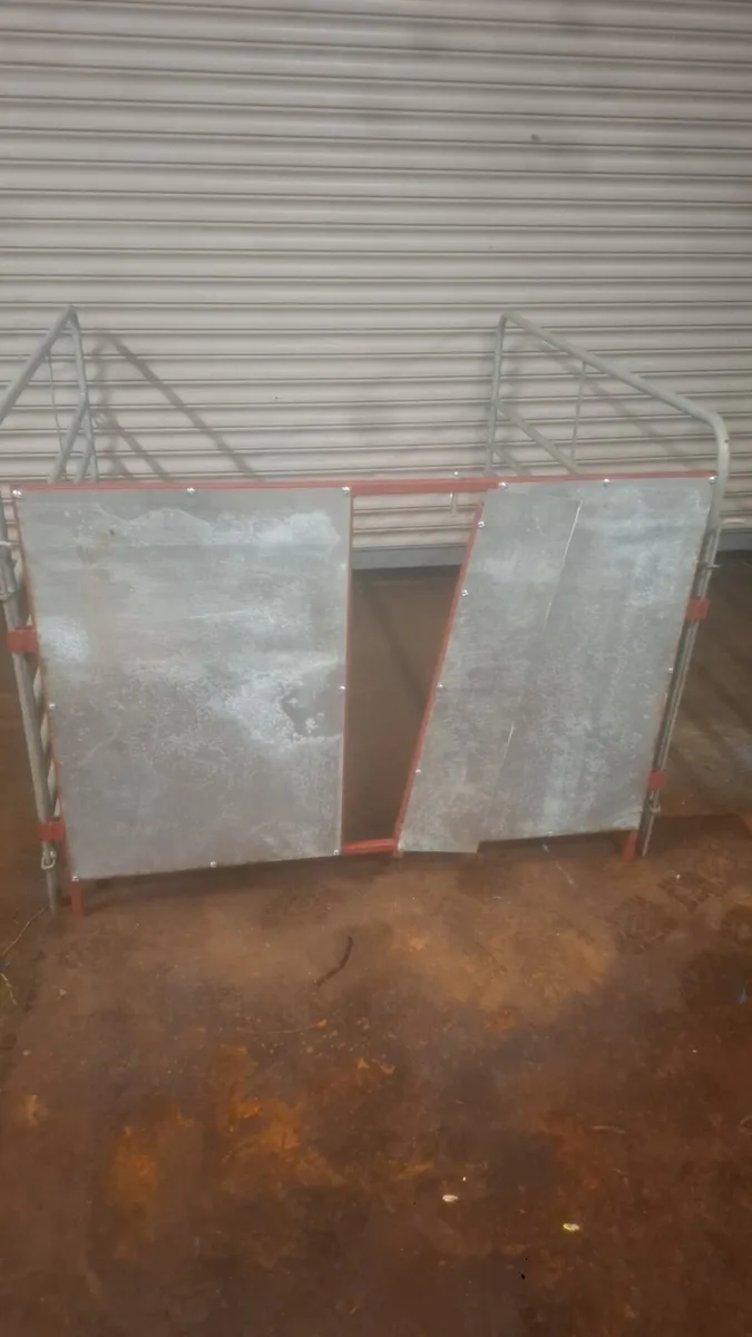 Adoption gate - Image 4