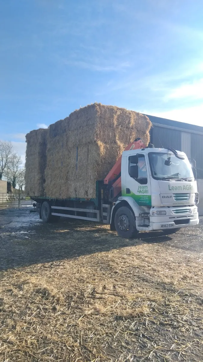 Horse hay, barley and wheaten straw - Image 1