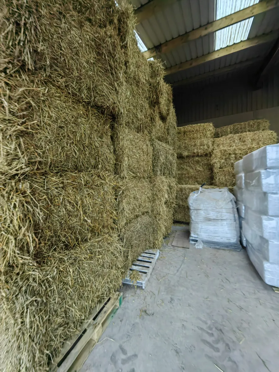Horse hay, barley and wheaten straw - Image 4