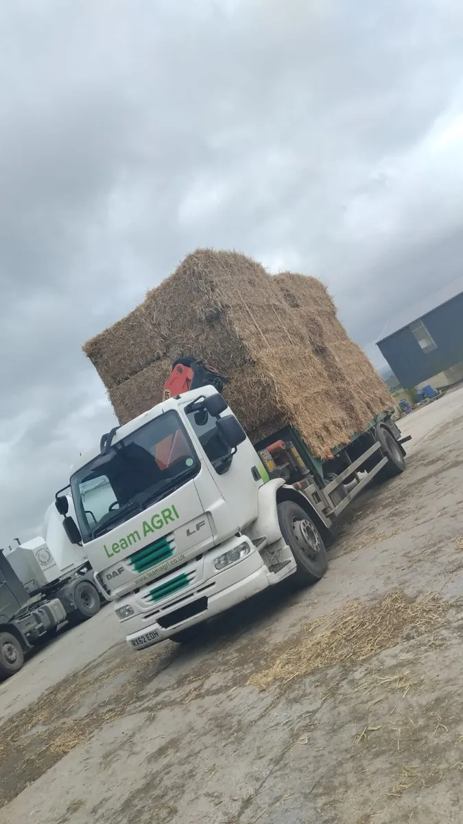 Horse hay, barley and wheaten straw - Image 3