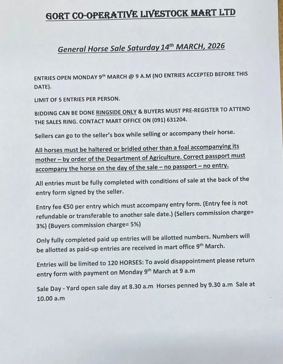 Gort Mart Pre entry Horse Sale : 14th March - Image 3