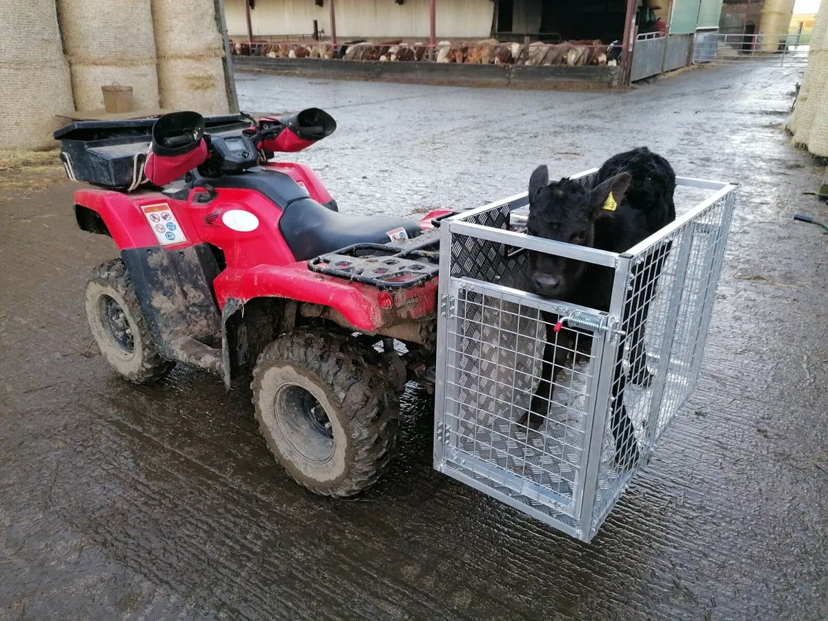 Dale Kavanagh Quad Quick Cage - Image 1