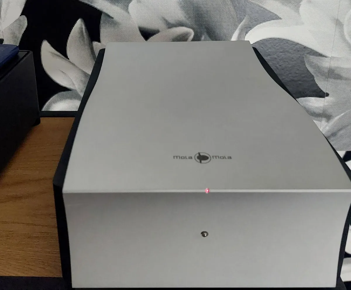 Mola Mola Perca - Image 2