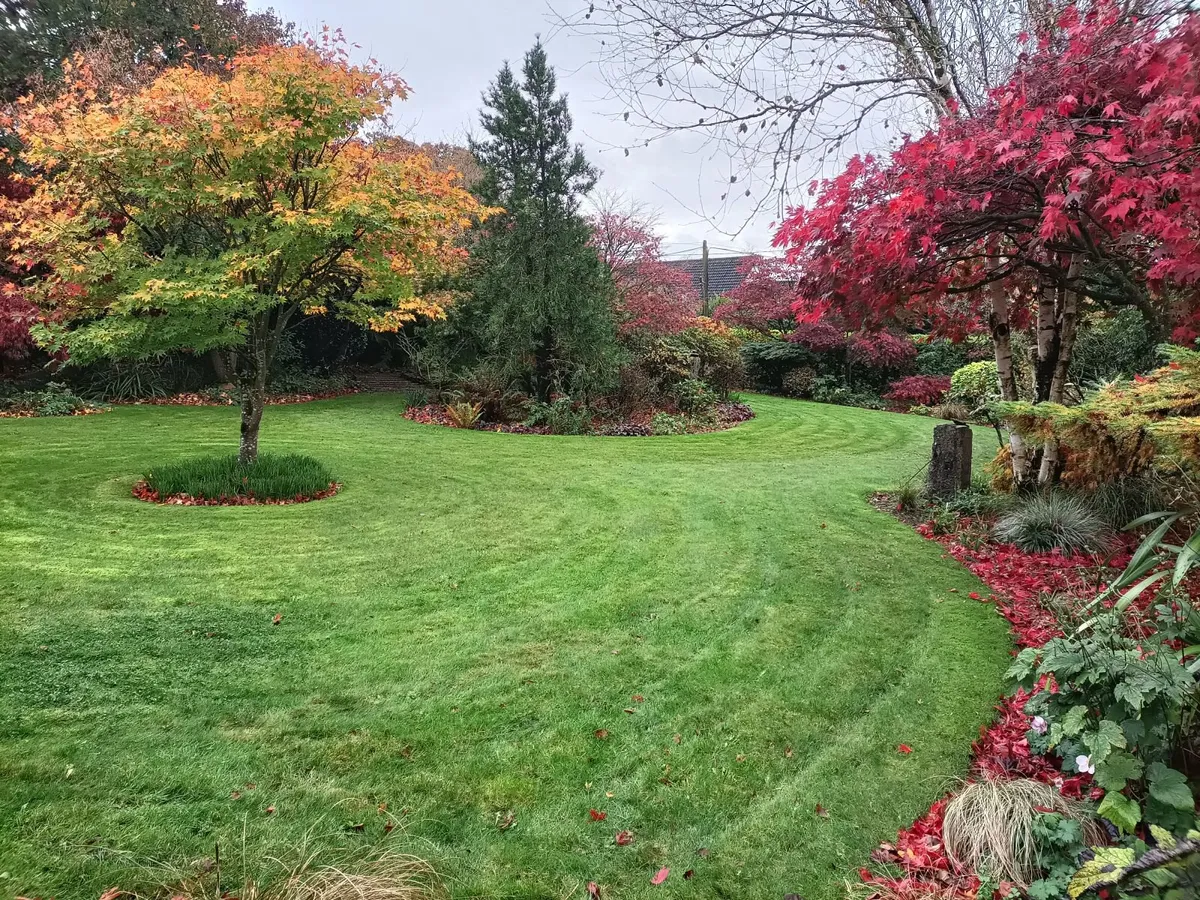 Garden Maintenance Service - Image 4