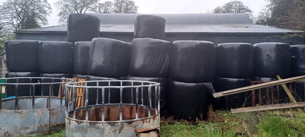 Silage Bales