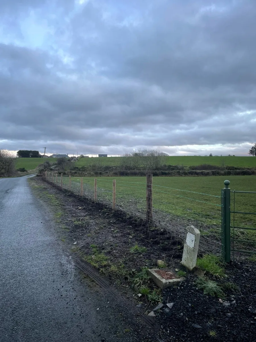 Hawthorn hedge - Image 3