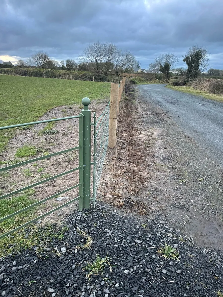 Hawthorn hedge - Image 4