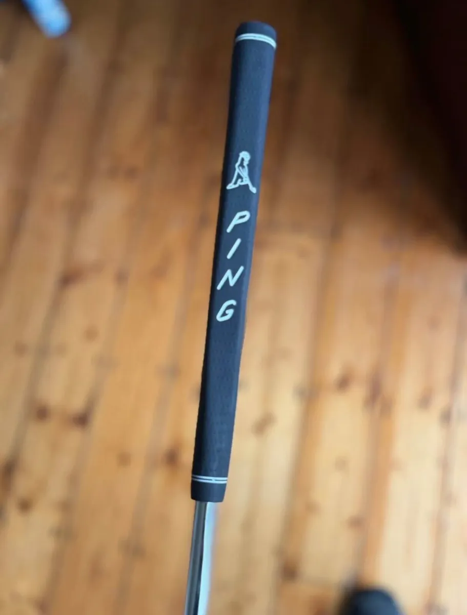 Evenroll putter - Image 2