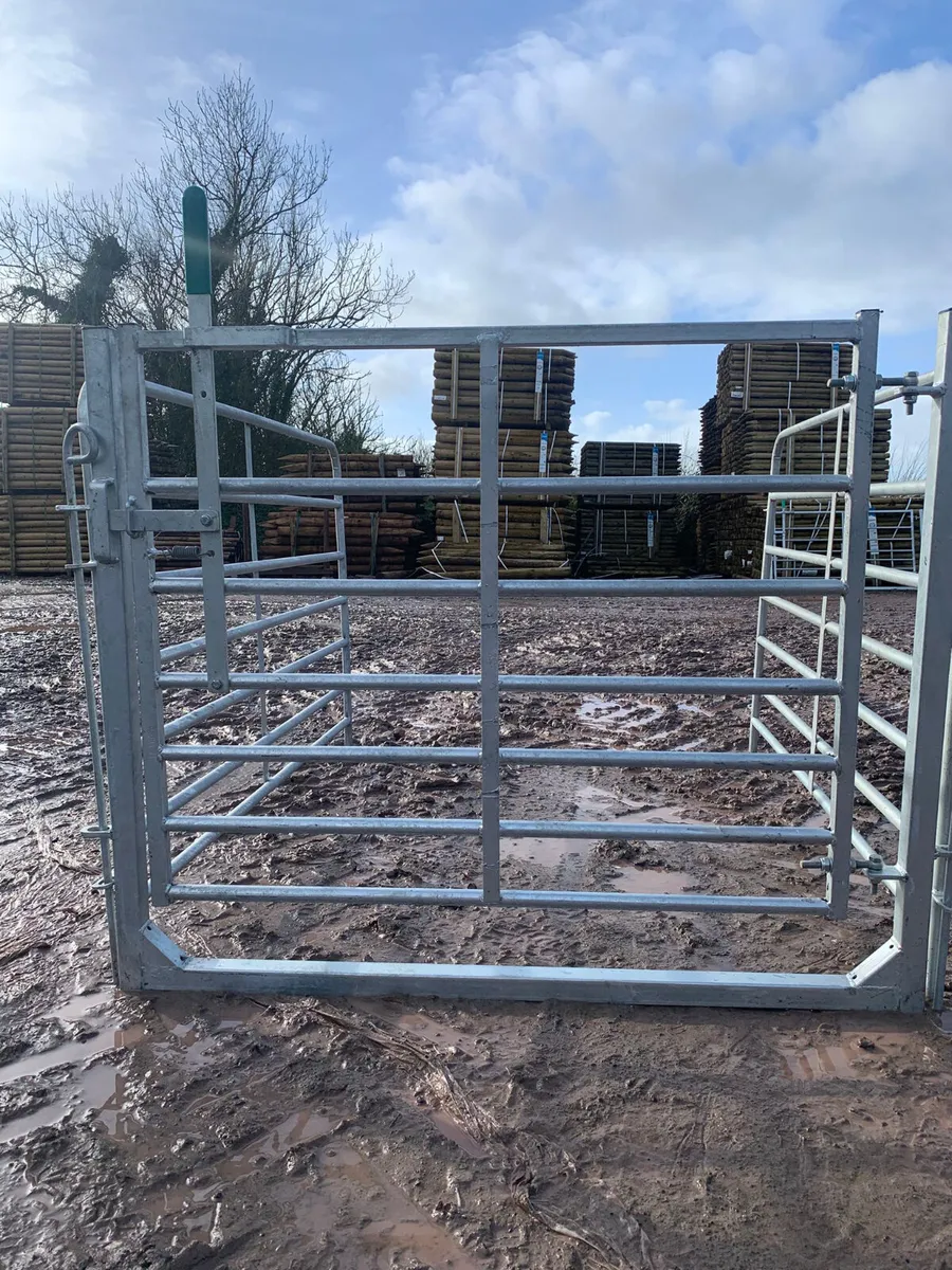 Everything you need for sheep ! - Image 2