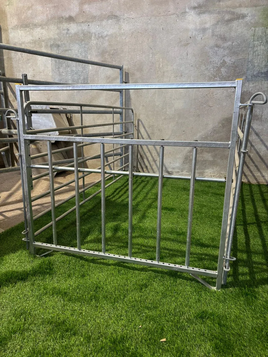 Everything you need for sheep ! - Image 1