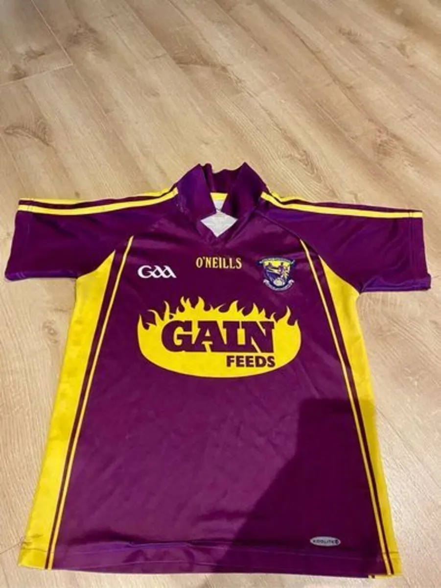 Kids Wexford Jersey 10/11 - Image 1