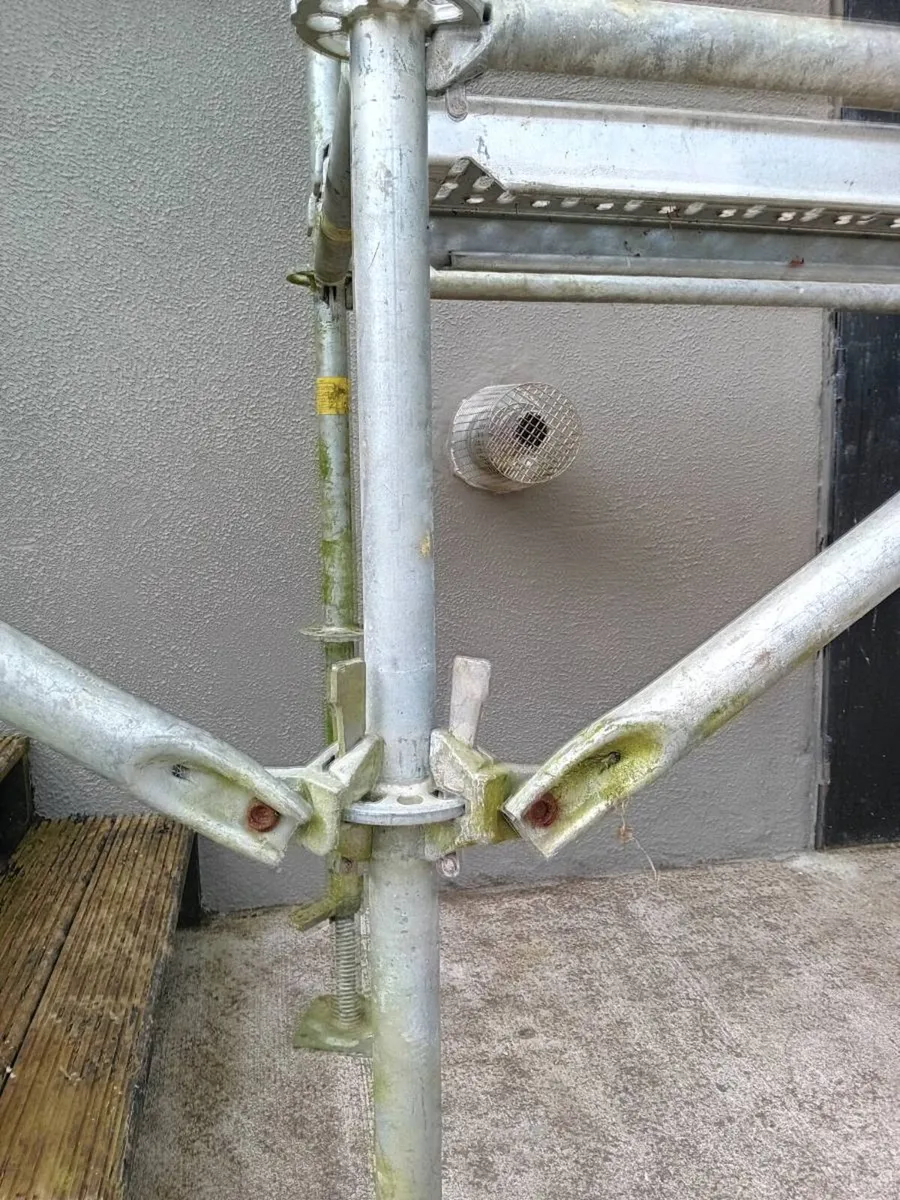 Scaffold - Image 2