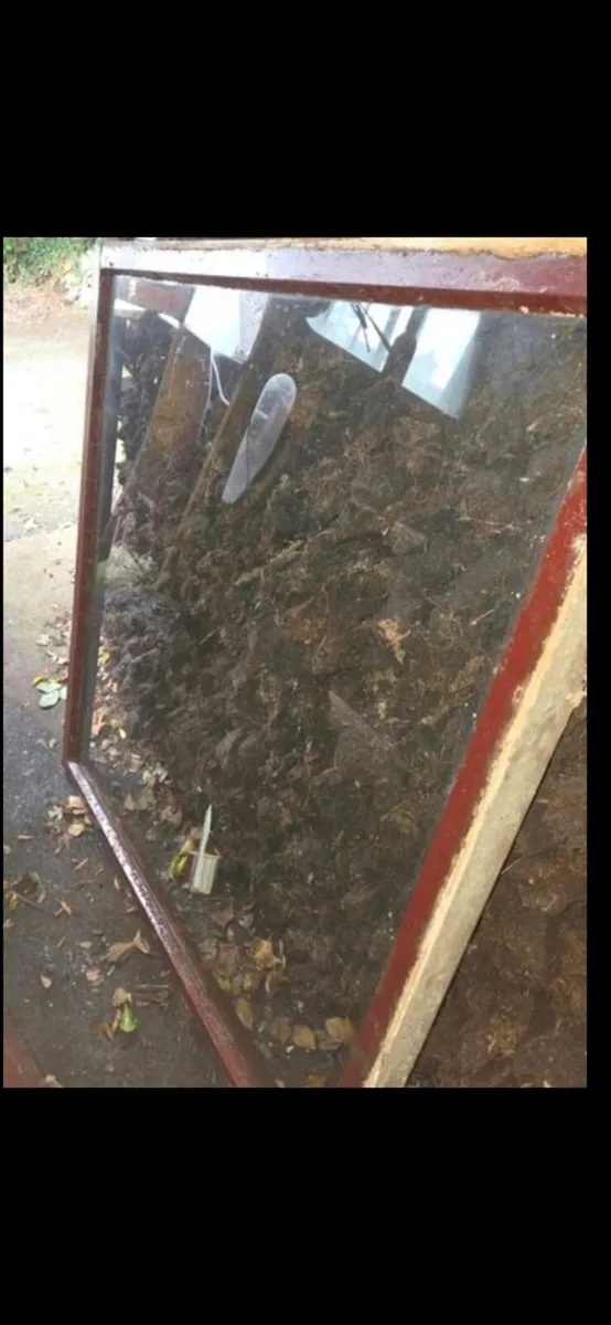 Old Teak Windows - Image 2