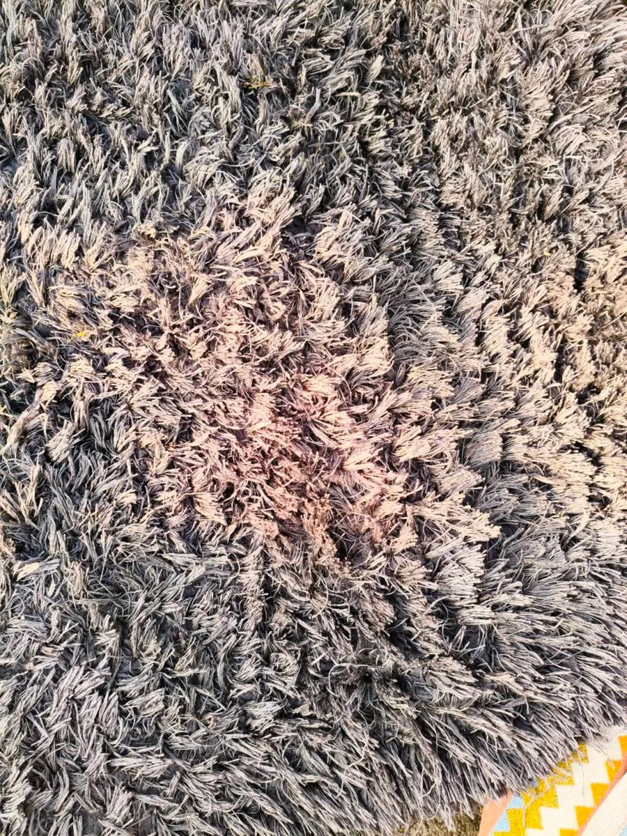 Beautiful charcoal rug large 40 Euro - Image 2