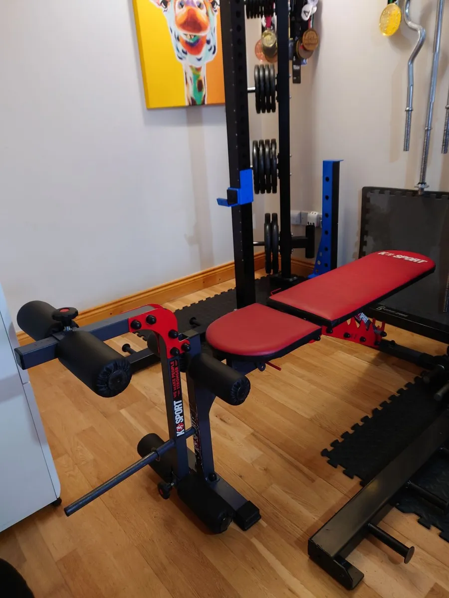 Half Rack with spotters and bench with attachments - Image 4