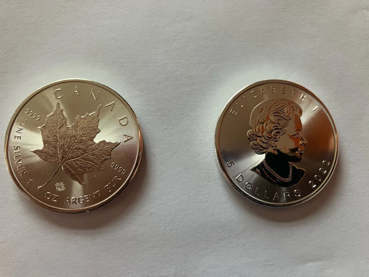 Fine Silver 1oz bullion coins - Image 1