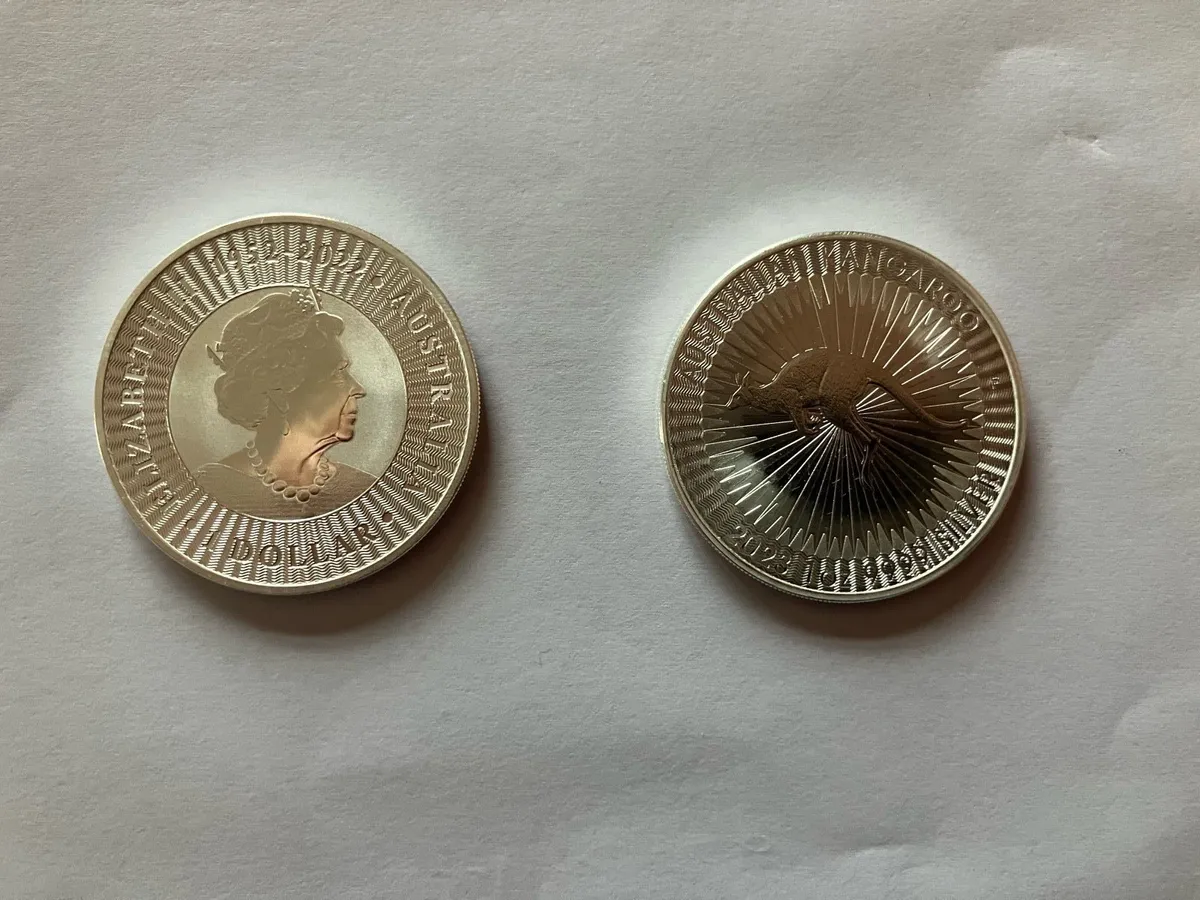 Fine Silver 1oz bullion coins - Image 3