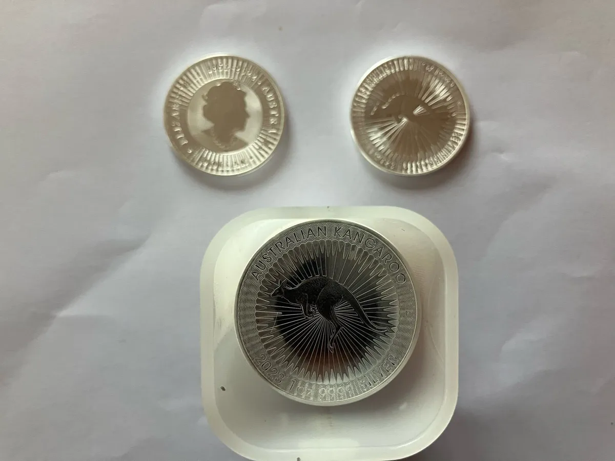 Fine Silver 1oz bullion coins - Image 4