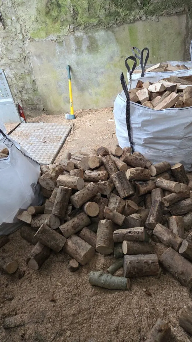 Kiln Dried Ash (Stove cut) - Image 2