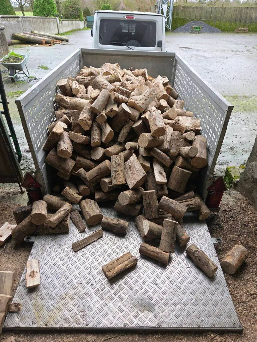 Kiln Dried Ash (Stove cut) - Image 1