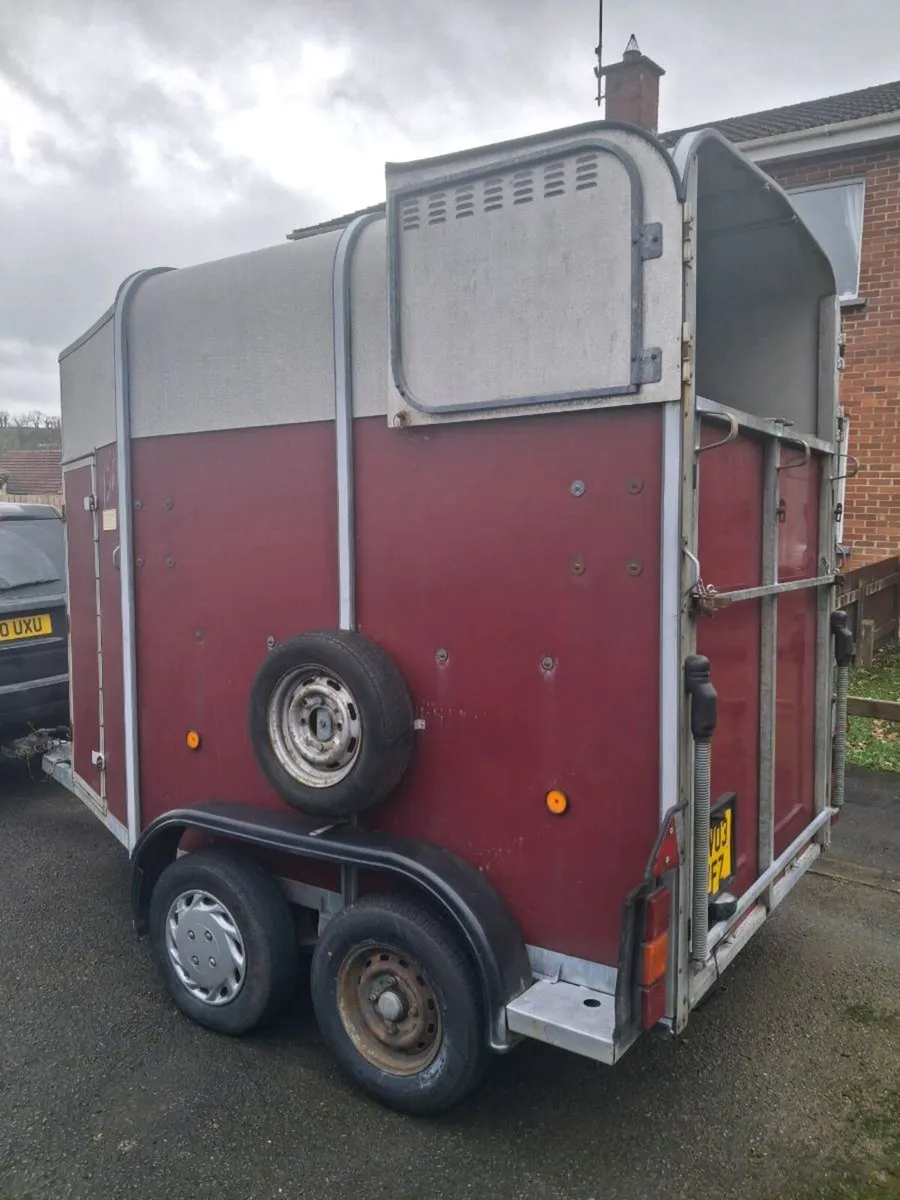 I for williams 505R double horsebox - Image 3